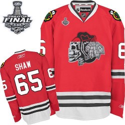 Andrew Shaw Chicago Blackhawks Reebok Authentic White Red Skull 2015 Stanley Cup Jersey