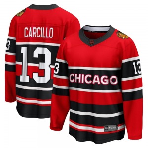 Daniel Carcillo Chicago Blackhawks Fanatics Branded Breakaway Red Special Edition 2.0 Jersey