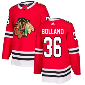 Dave Bolland Chicago Blackhawks Adidas Authentic Red Home Jersey